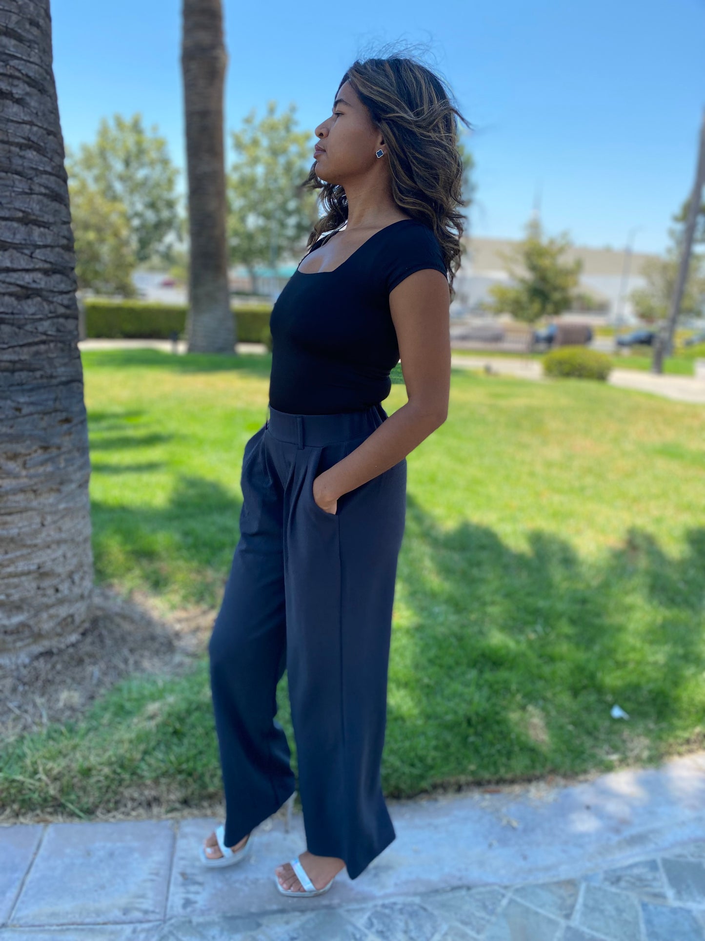 Pantalones ejecutivos de moda Chantel