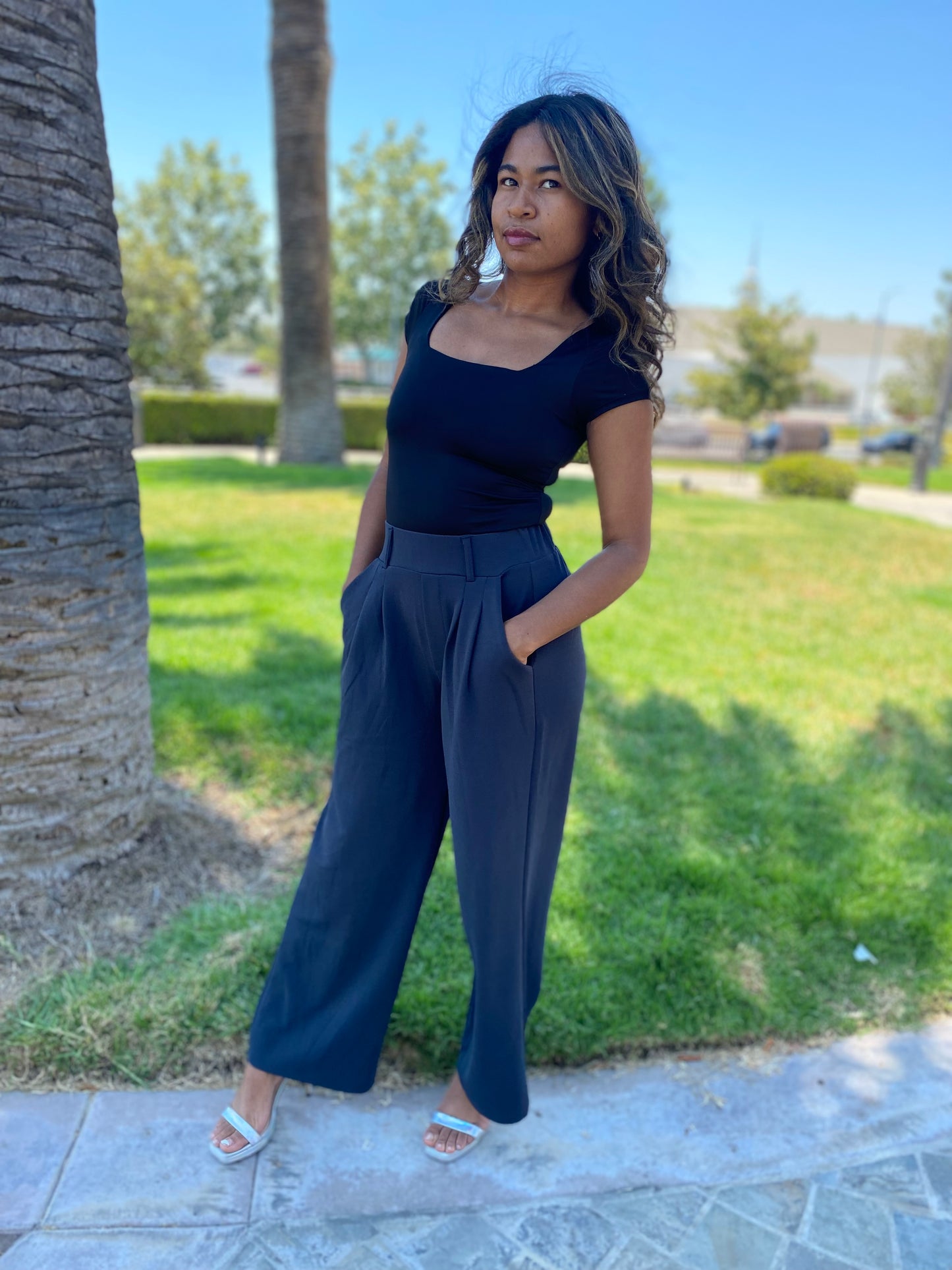 Pantalones ejecutivos de moda Chantel