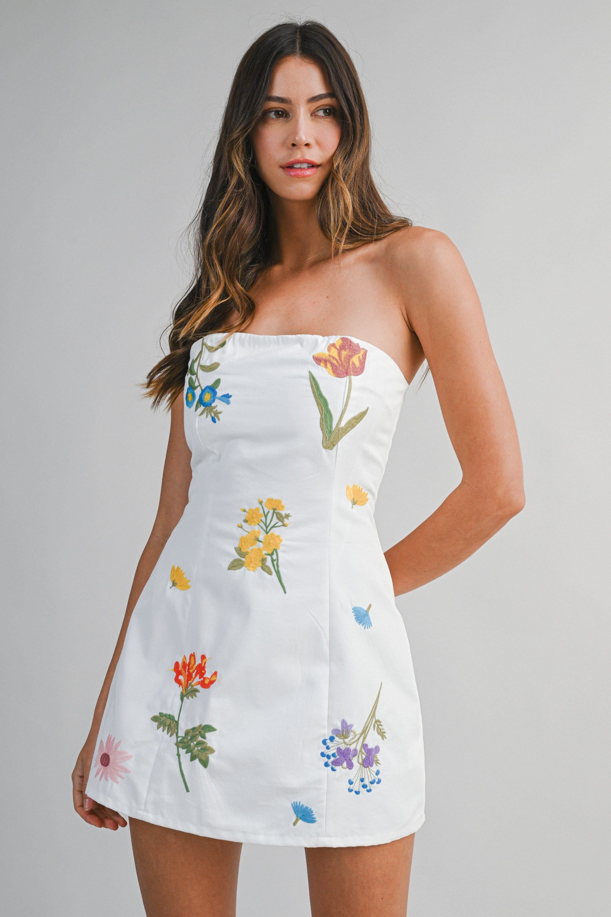 Alice Floral Embroidered Mini Tube Dress - PREORDER